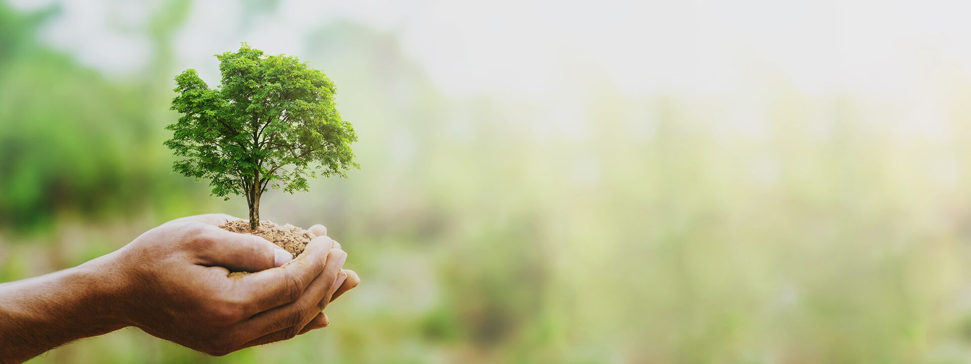 Sustainability LUKA GmbH